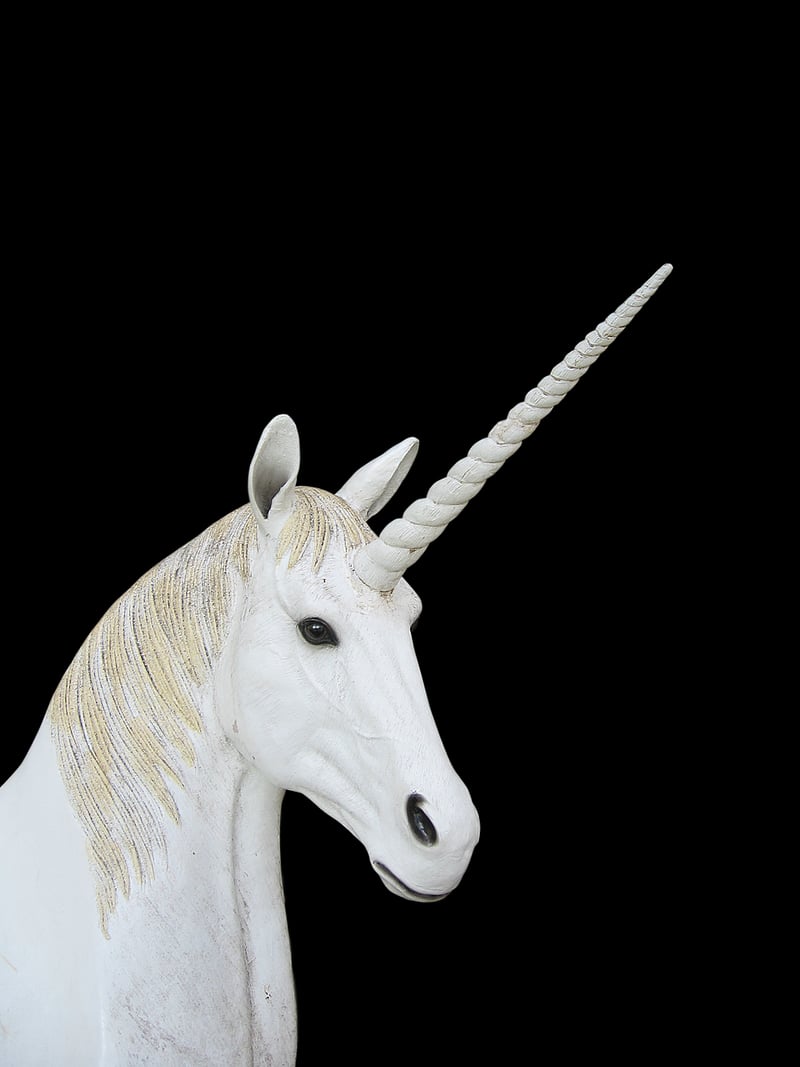 Unicorn Planter